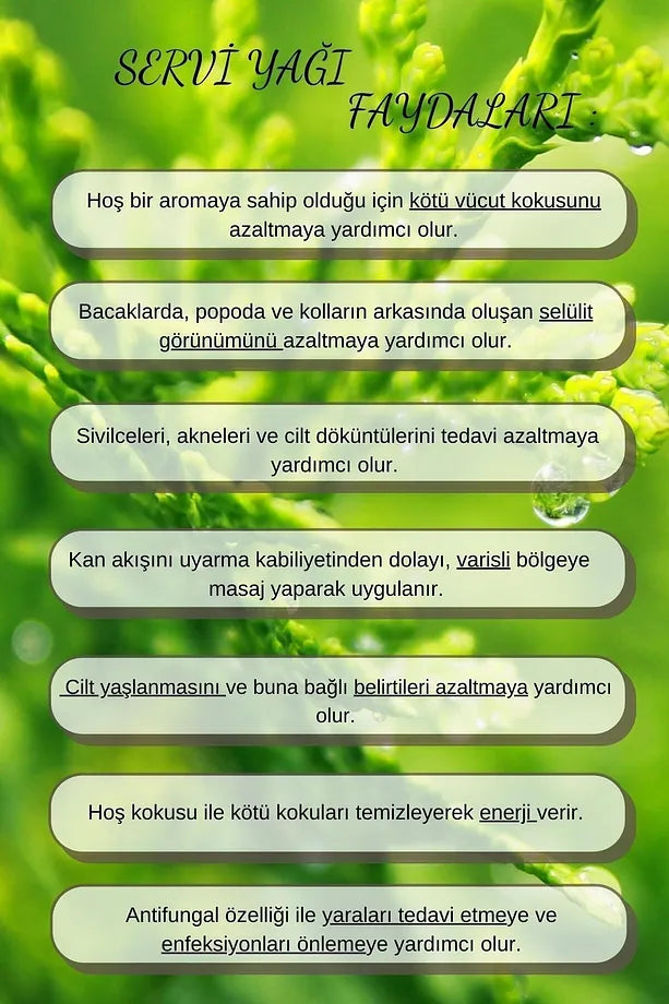 Servi Uçucu Yağı 10 ML | %100 Saf - Bitkisel Aromaterapi Yağı - Cypress Oil - Difüzöre Uygun