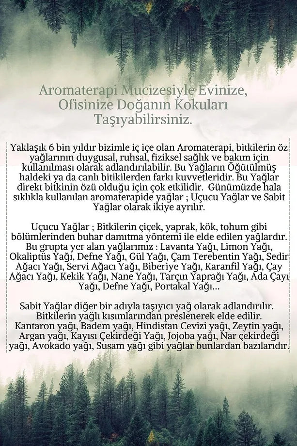 Akne Eğilimli Yüz Cilt Bakım Uçucu Yağ Aromaterapi Set | Saf Çay Ağacı, Limon, Kayısı Çekirdeği Yağları - Acne Prone Facial Skin Care Essential Oil Aromatherapy Set