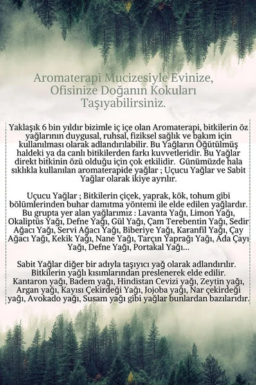 Akne Eğilimli Yüz Cilt Bakım Uçucu Yağ Aromaterapi Set | Saf Çay Ağacı, Limon, Kayısı Çekirdeği Yağları - Acne Prone Facial Skin Care Essential Oil Aromatherapy Set