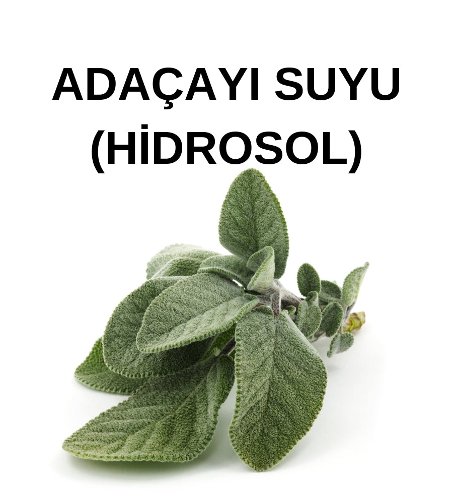 Adaçayı Hidrosolü – Salvia Triloba