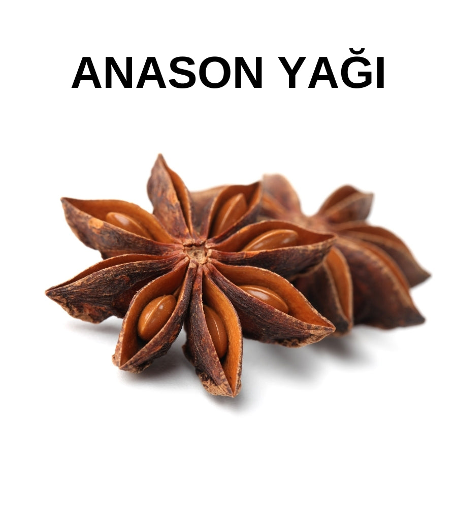 Anason Yağı | Anise Oil – Illicium Verum - Distile Uçucu Toptan Yağ