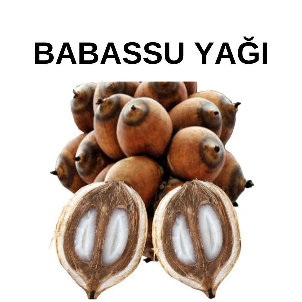 Babassu Yağı | Babassu Oil - Attalea Speciosa - Rafine - Soğuk Sıkım Toptan Yağ