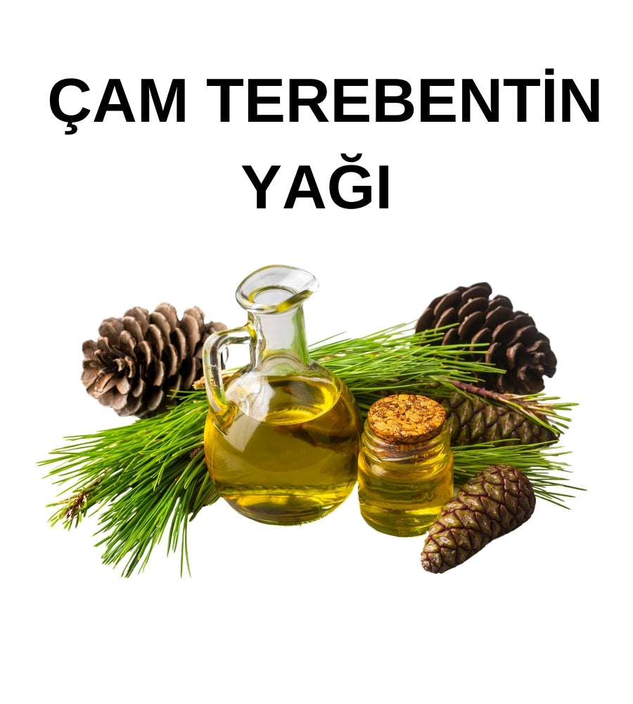 Çam Terebentin Yağı | Pine Turpentine Oil – Terebinthinae - Sarı - Distile Uçucu Toptan Yağ