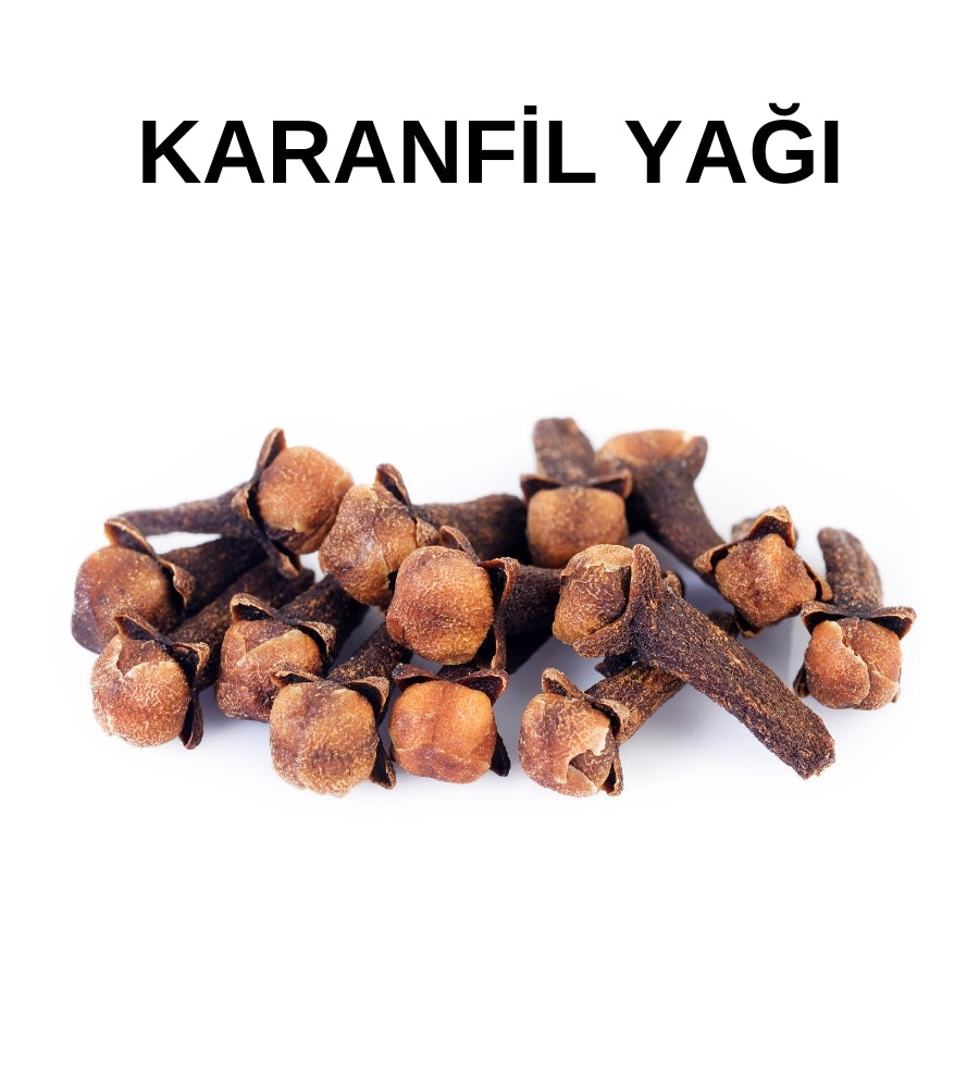 Karanfil Yağı | (Tomurcuk) - Clove Oil (Bud) - Eugenia Caryophyllata -Distile Uçucu Toptan Yağ