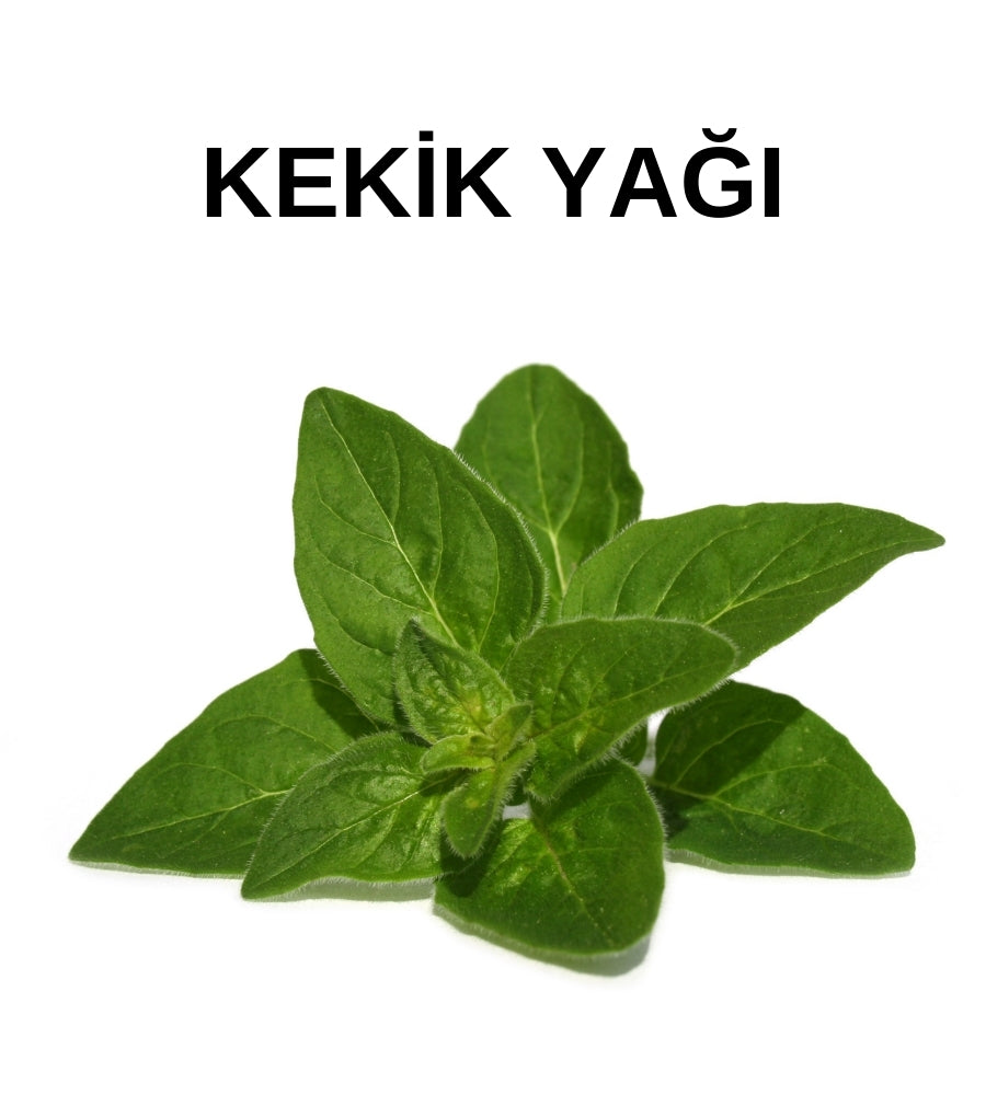 Kekik Yağı | Doğal ve Saf Uçucu Yağ – Thyme Oil – Origanum Onites - Distile Uçucu Toptan Yağ