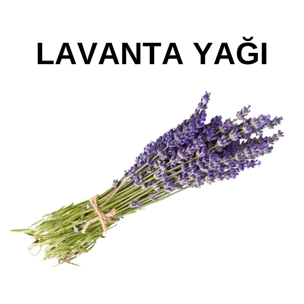 Lavanta Yağı | Lavender Oil - Lavandula Hybrida Herb Oil - Doğal ve Saf Uçucu Yağ - Distile Uçucu Toptan Yağ