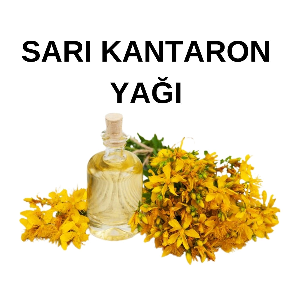Sarı Kantaron Yağı | St. John’s Wort Oil - Hypericum Perforatum - Maserasyon Toptan Yağ
