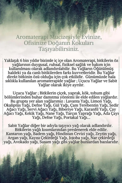 Akne Eğilimli Yüz Cilt Bakım Uçucu Yağ Aromaterapi Set | Saf Çay Ağacı, Limon, Kayısı Çekirdeği Yağları - Acne Prone Facial Skin Care Essential Oil Aromatherapy Set