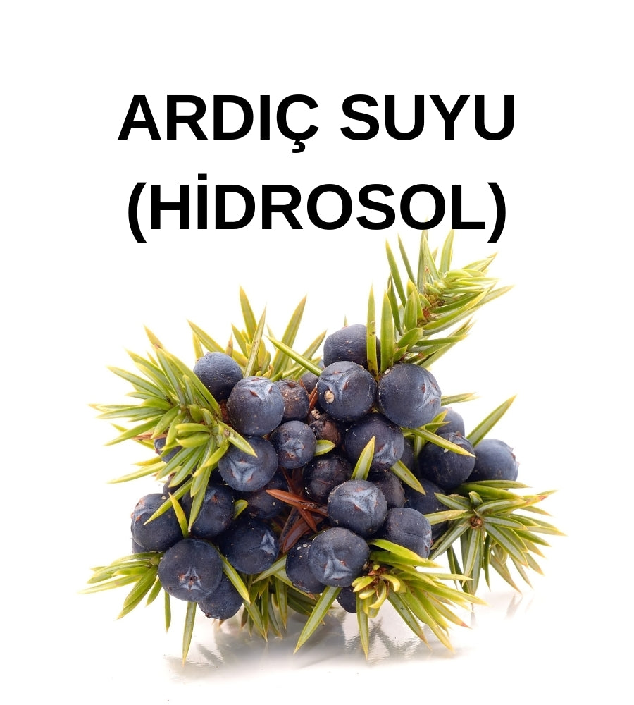 Ardıç Tohumu Hidrosolü – Juniper Seed Hydrosol (Juniperus Communis)