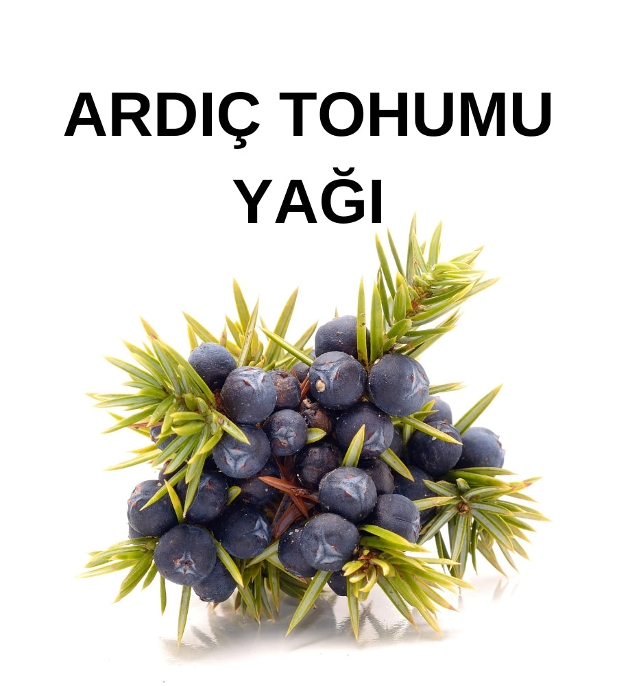 Ardıç Tohumu Yağı | Juniper Seed Oil - Juniperus Communis - Distile Uçucu Toptan Yağ