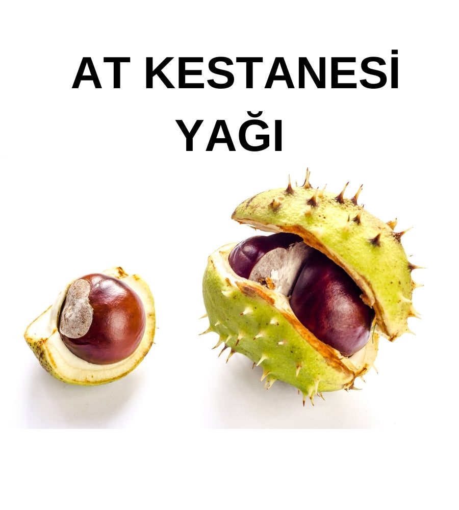 At Kestanesi Yağı – Horse Chestnut Oil - Aesculus Hippocastanum - Maserasyon Toptan Yağ