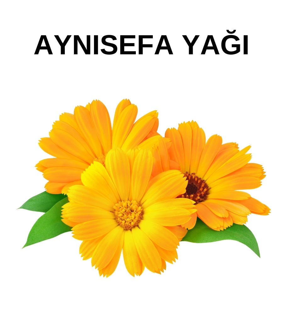 Aynı Sefa Yağı | Calendula Oil - Calendula Officinalis Extract - Maserasyon Toptan Yağ