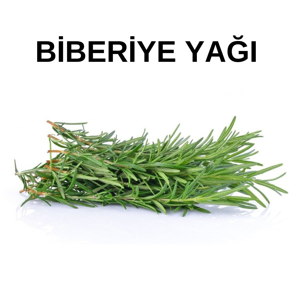 Biberiye Yağı | Rosemary Oil – Rosmarinus Officinalis - Distile Uçucu Toptan Yağ