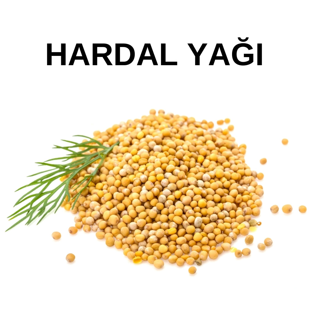 Hardal Yağı | Mustard Oil – Brassica Nigra - Soğuk Sıkım Toptan Yağ