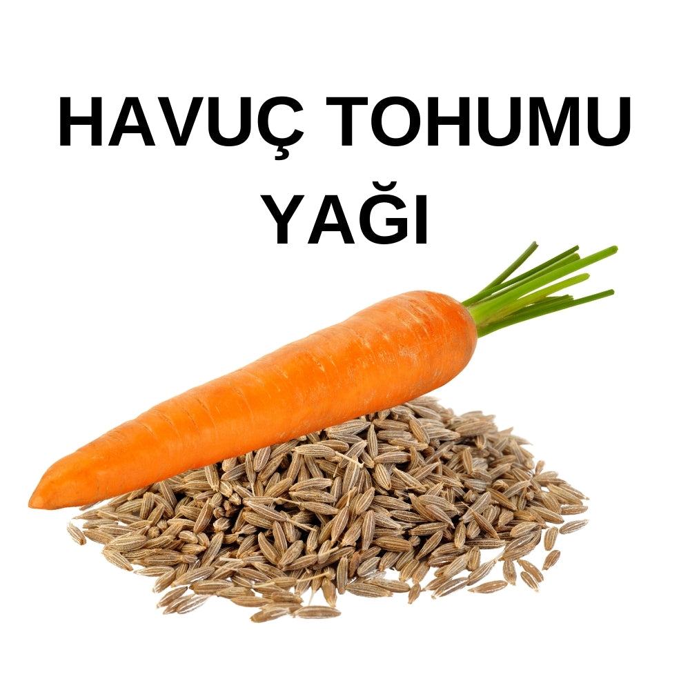 Havuç Tohumu Yağı | Carrot Seed Oil - Daucus Carota Sativa Seed Oil - Soğuk Sıkım Toptan Yağ
