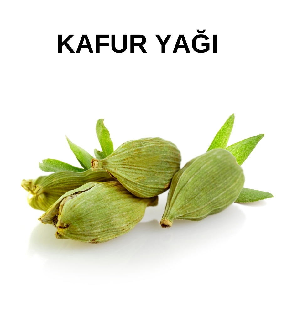 Kafur Yağı (Sıvı) Uçucu Yağ | Cardamom Oil – Cinnamomum Camphora Nees - Distile Uçucu Toptan Yağ