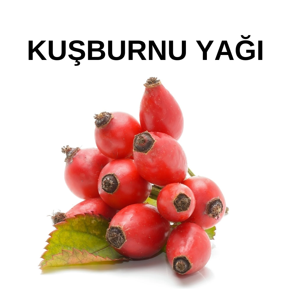 Kuşburnu Yağı | Rosehip Oil - Rosa Canina Fruit Oil - Doğal ve Saf Sabit Yağ - Soğuk Sıkım Toptan Yağ