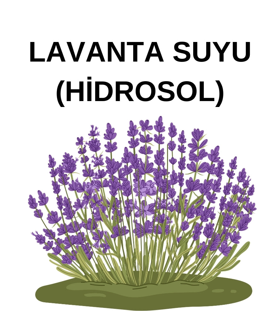 Lavanta Hidrosolü – Lavender Hydrosol (Lavandula Angustfolia)