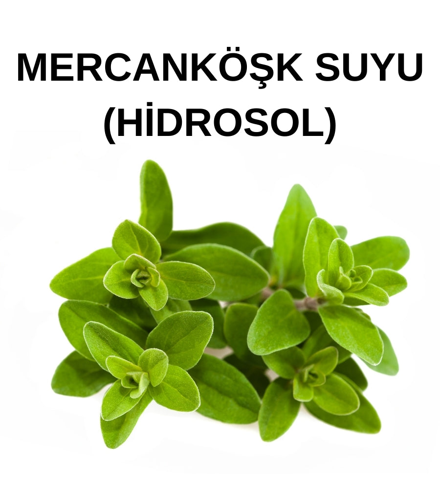 Mercanköşk Hidrosolü – Marjoram Hydrosol (Origanum Majorana)
