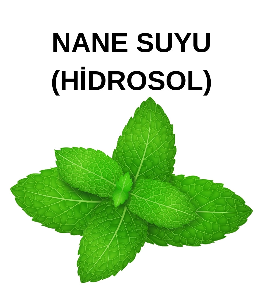 Nane Hidrosolü – Peppermint Hydrosol – Mentha Piperita Hydrosol
