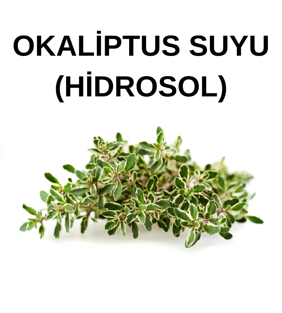 Okaliptus-Limon Hidrosolü – Eucalyptus Citriodora hydrosol