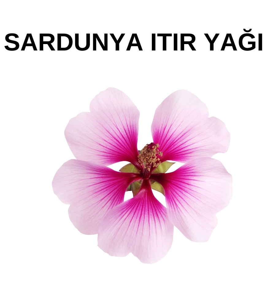 Sardunya (Itır) Yağı | Geranium Oil Pelargonium Graveolens Flower Oil - Distile Uçucu Toptan Yağ