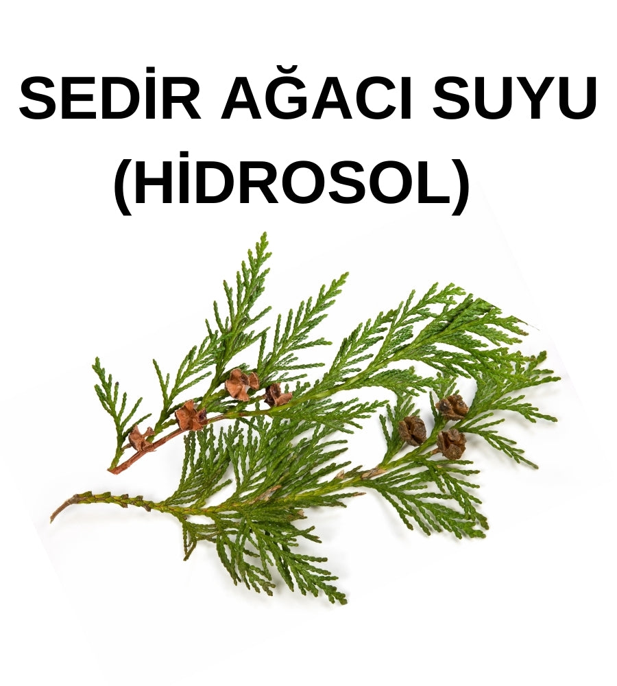 Sedir Ağacı Hidrosolü (Yağ Altı) – Cedrus Atlantica