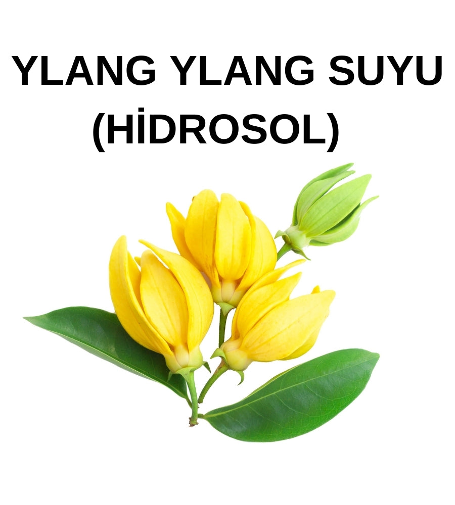 Ylang Ylang Hidrosolü (Yağ Altı) – Cananga Odorata