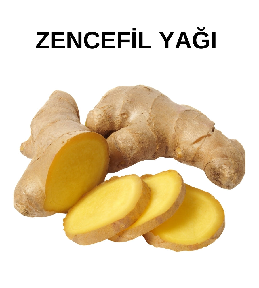 Zencefil Yağı | Ginger Oil - Zingiber Officinalis - Doğal ve Saf Uçucu Yağ