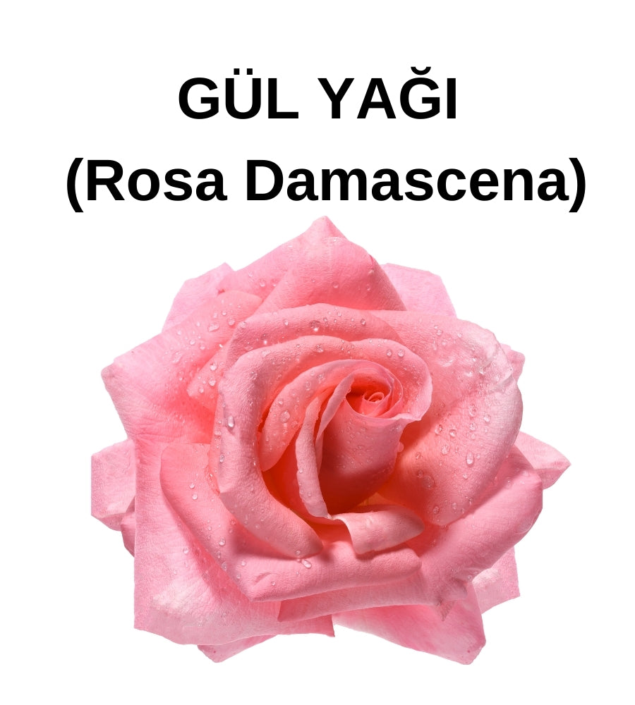 Gül Yağı Uçucu Yağ – Rose Oil – Rosa Damascena Flower Oil - Distile Uçucu Toptan Yağ