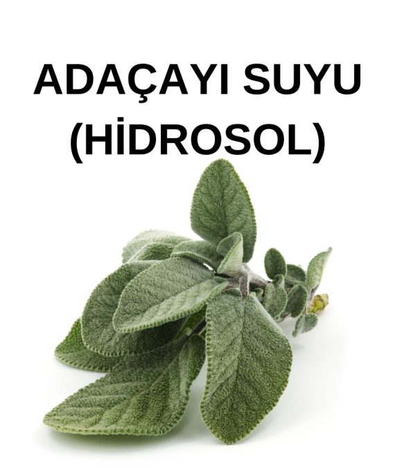 ADAÇAYI HİDROSOL