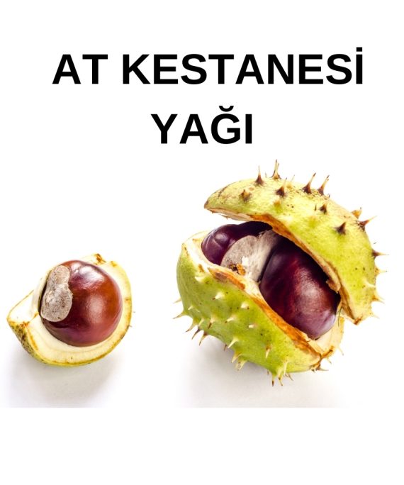 AT KESTANESİ YAĞI