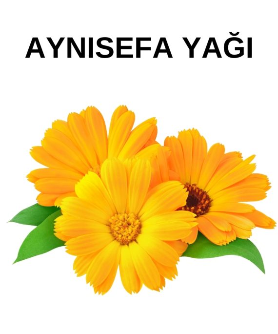 AYNI SEFA YAĞI