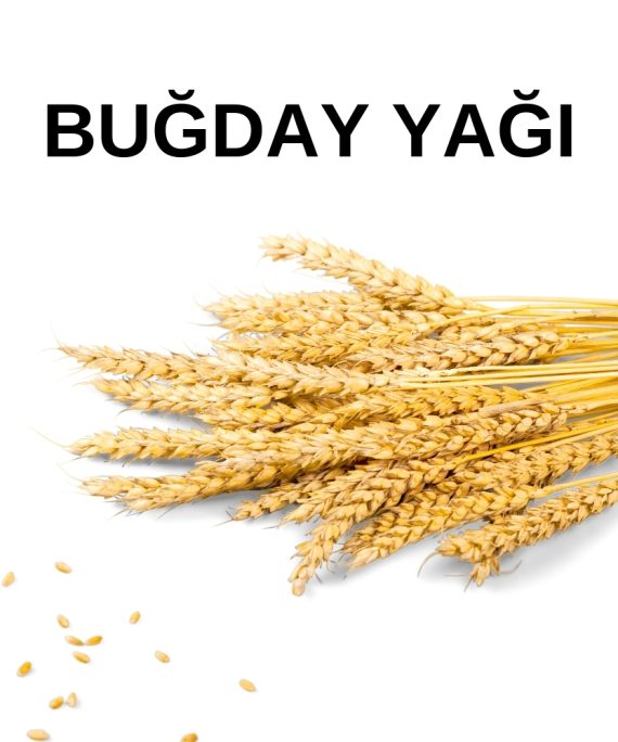 BUĞDAY YAĞI