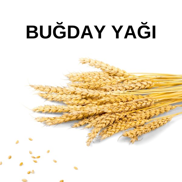 BUĞDAY YAĞI