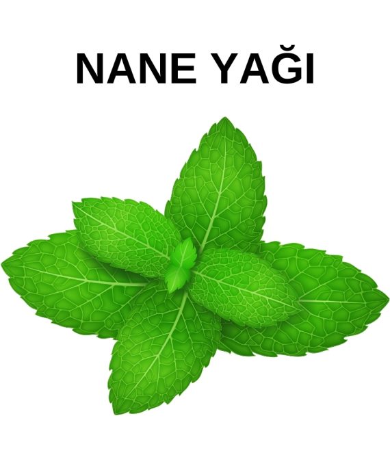 NANE YAĞI (2)