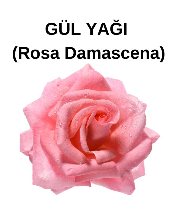 gül YAĞI