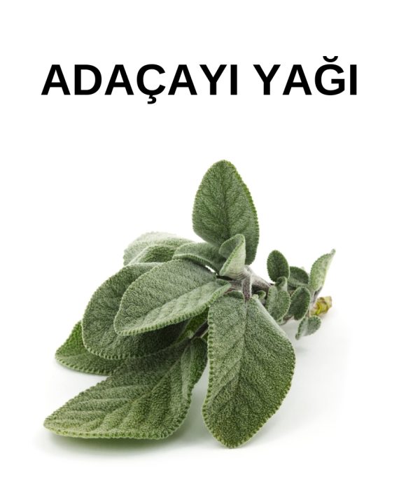 ADAÇAYI YAĞI (2)