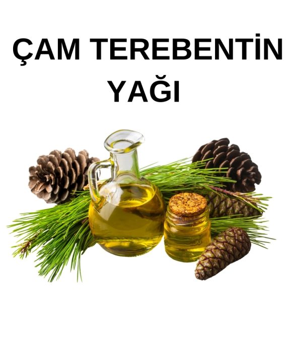 ÇAM TEREBENTİN YAĞI