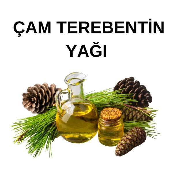 ÇAM TEREBENTİN YAĞI