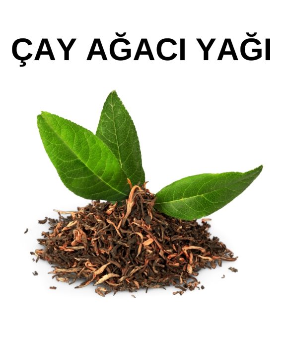 ÇAY AĞACI YAĞI