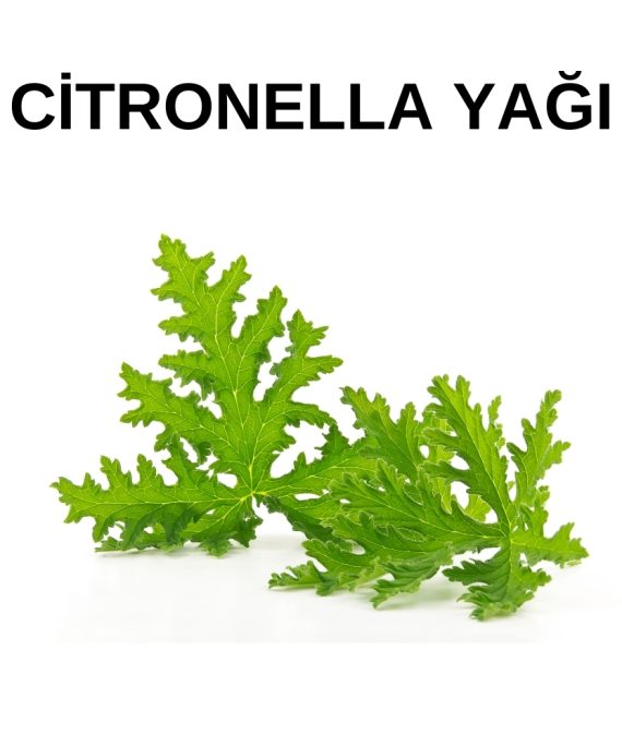 CİTRONELLA YAĞI