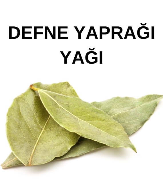 DEFNE YAPRAĞI YAĞI