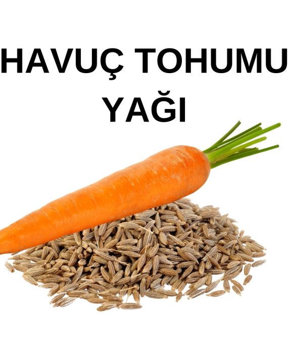 HAVUÇ TOHUMU YAĞI