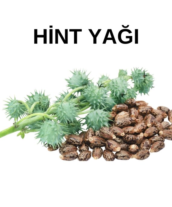 HİNT YAĞI (1)