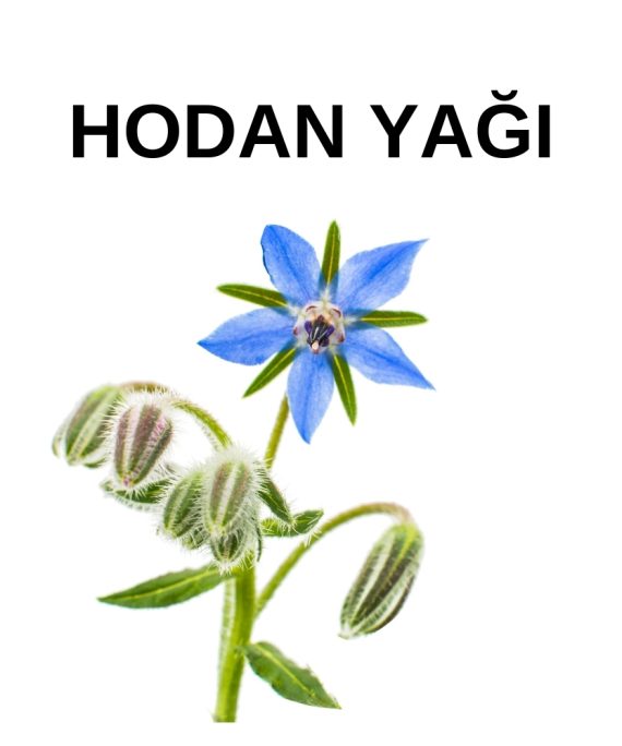 HODAN YAĞI (2)