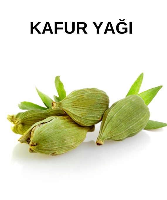 KAFUR YAĞI