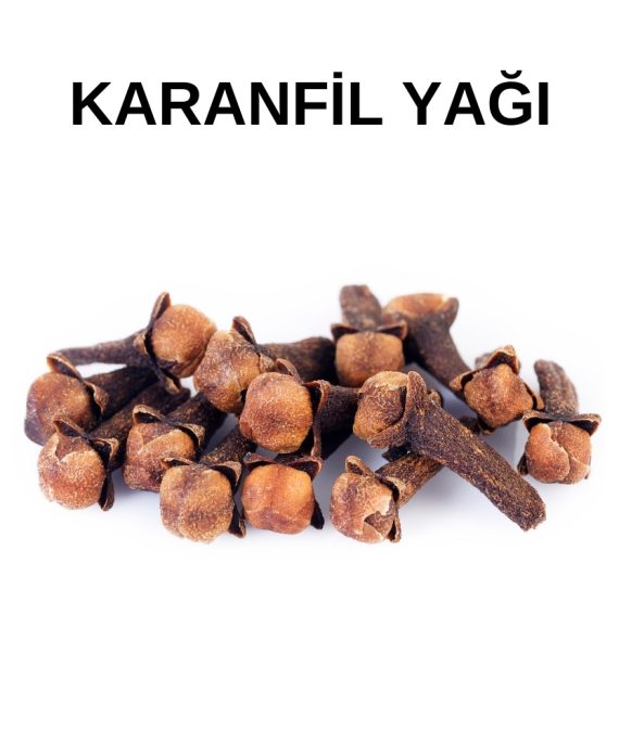 KARANFİL YAĞI (2)