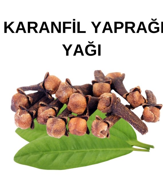 KARANFİL YAPRAK YAĞI (1)