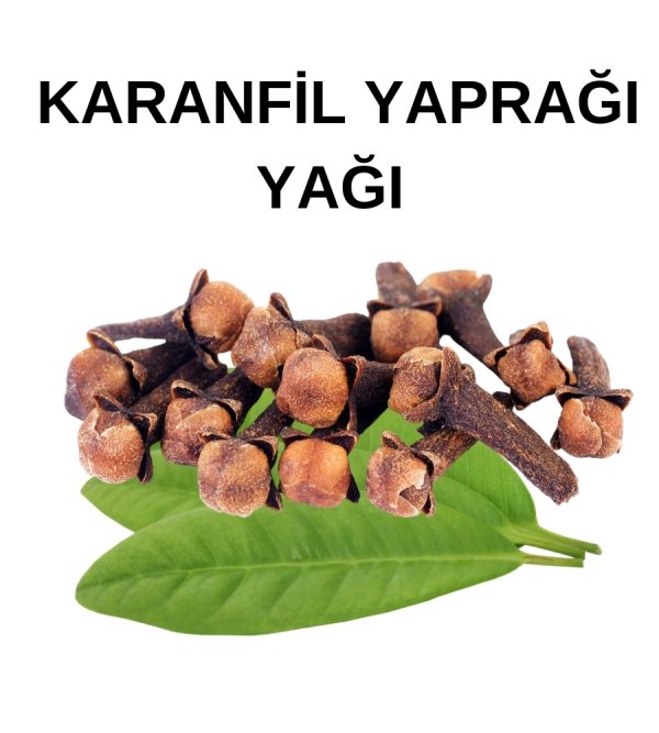 KARANFİL YAPRAK YAĞI (1)